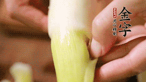 茭白剝?nèi)ネ鈿?，先切片再切絲。