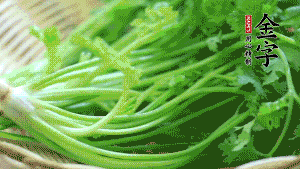 挑選鮮嫩的香菜，洗干凈后，處理成小段。