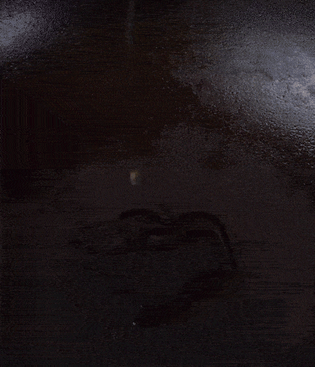 冷鍋熱油，下蒜片爆香，下香腸、玉米筍、蓮藕、西芹爆炒，期間加點(diǎn)水，翻炒1分鐘后加新鮮百合片，翻炒30秒。