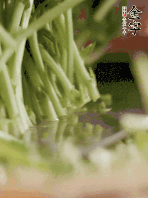 新鮮豌豆苗割下洗凈。